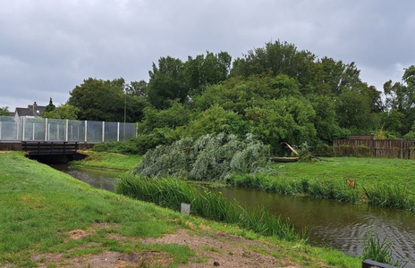 NOC-Poly- Stormschade Drontermeer , wijk Purmer Zuid